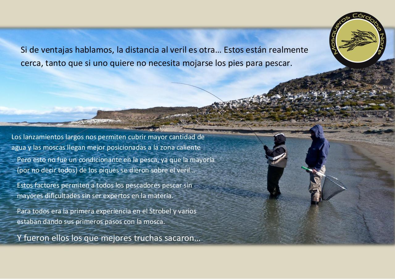 Vista previa del archivo PDF experiencia-strobel.pdf