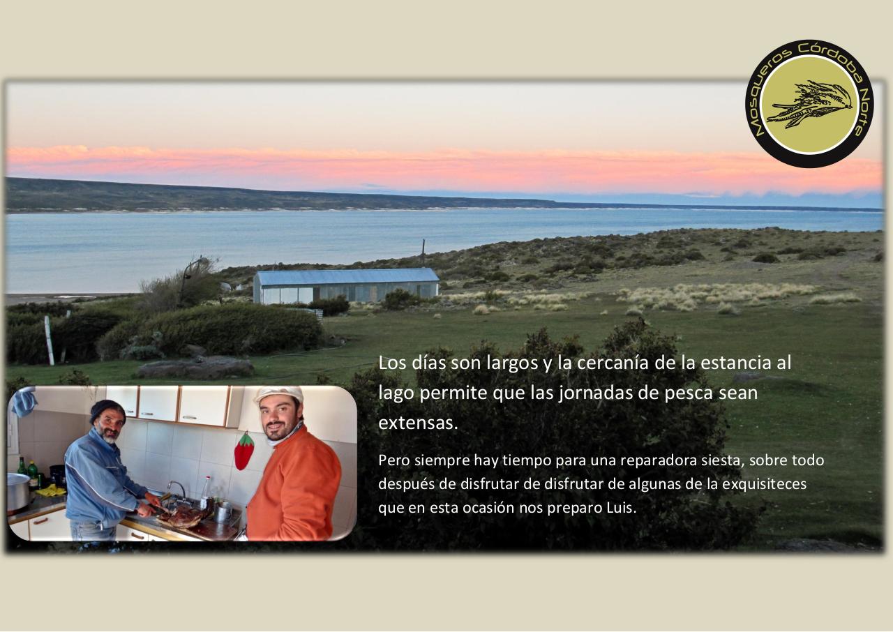 Vista previa del archivo PDF experiencia-strobel.pdf