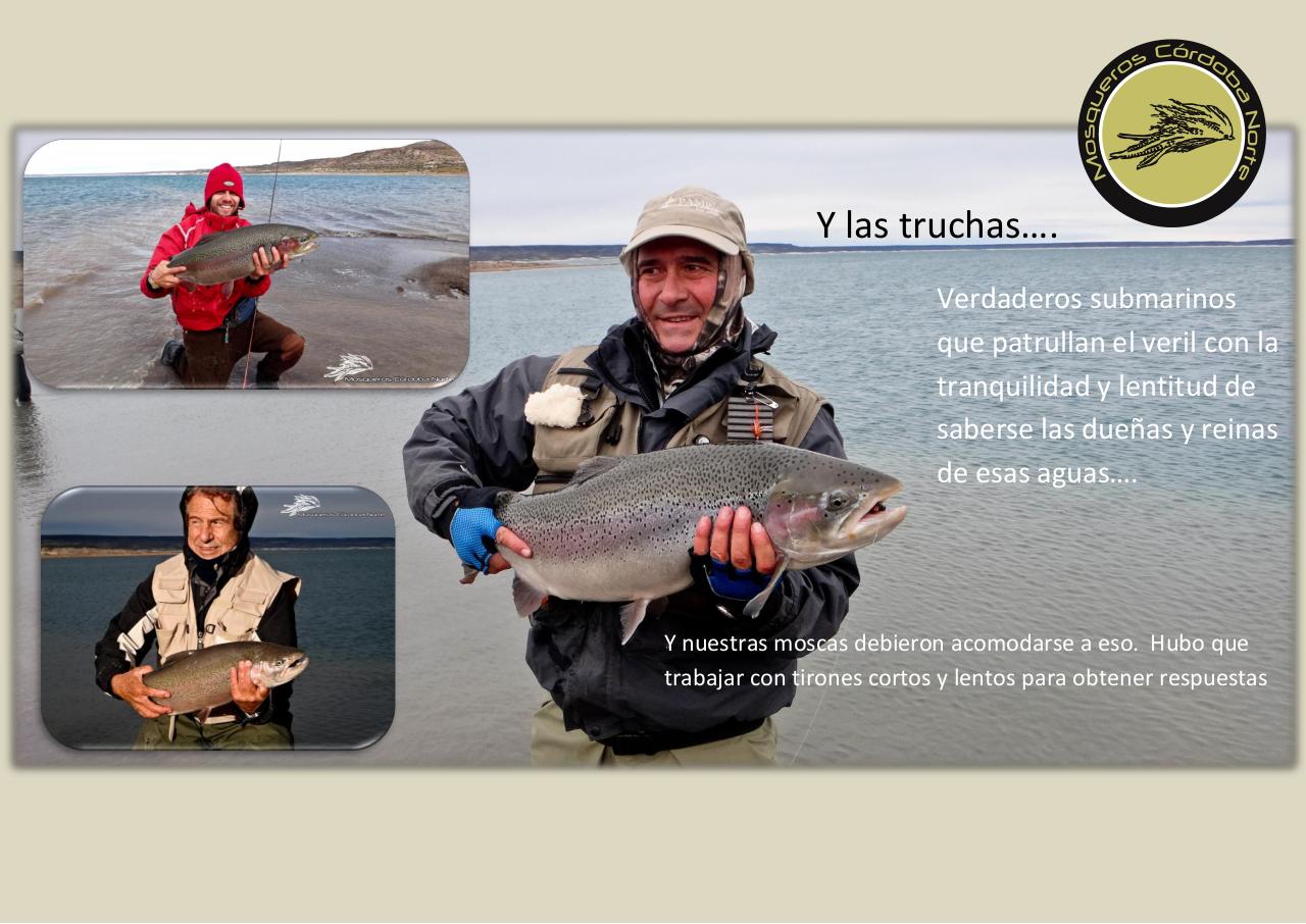 Vista previa del archivo PDF experiencia-strobel.pdf