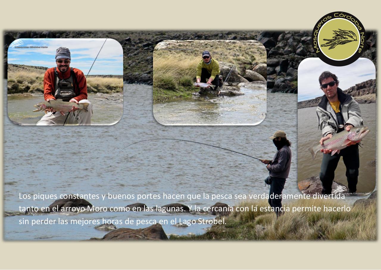 Vista previa del archivo PDF experiencia-strobel.pdf