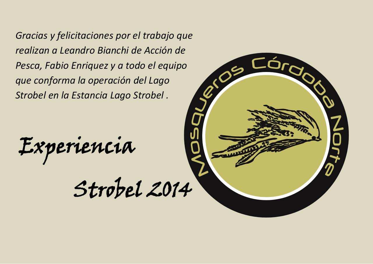 Vista previa del archivo PDF experiencia-strobel.pdf