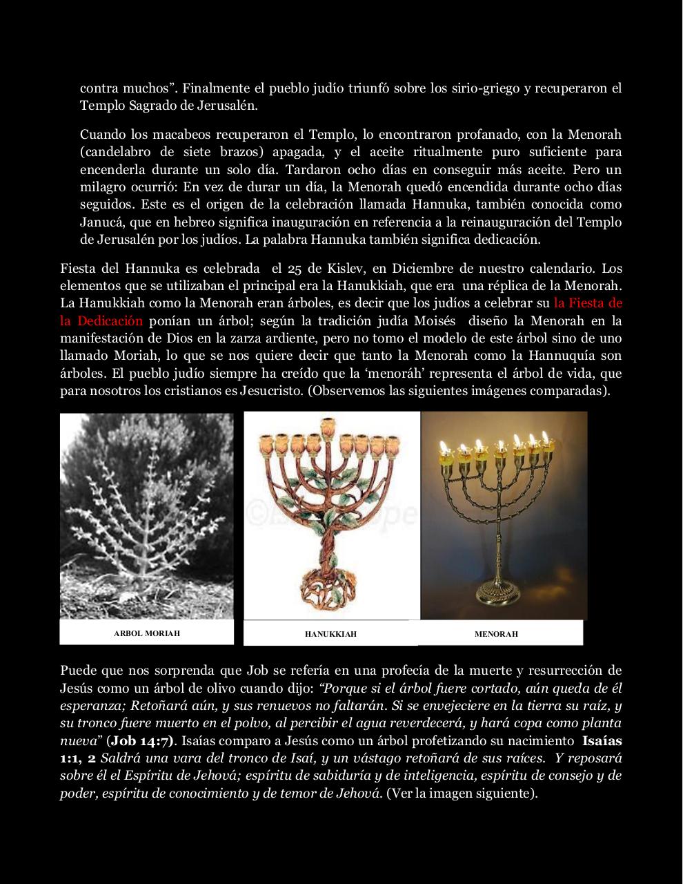 Vista previa del archivo PDF comentario-navidad.pdf