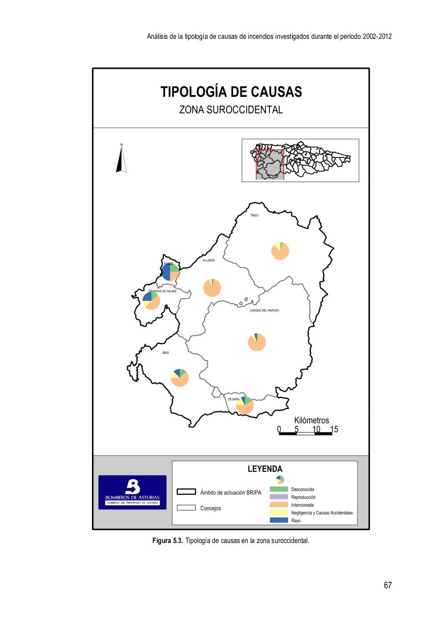 Vista previa del archivo PDF la-investigaci-n-de-causas-de-incendios-forestales-en-el-principado-de-asturias-en-el-per-odo-2002-2012.pdf