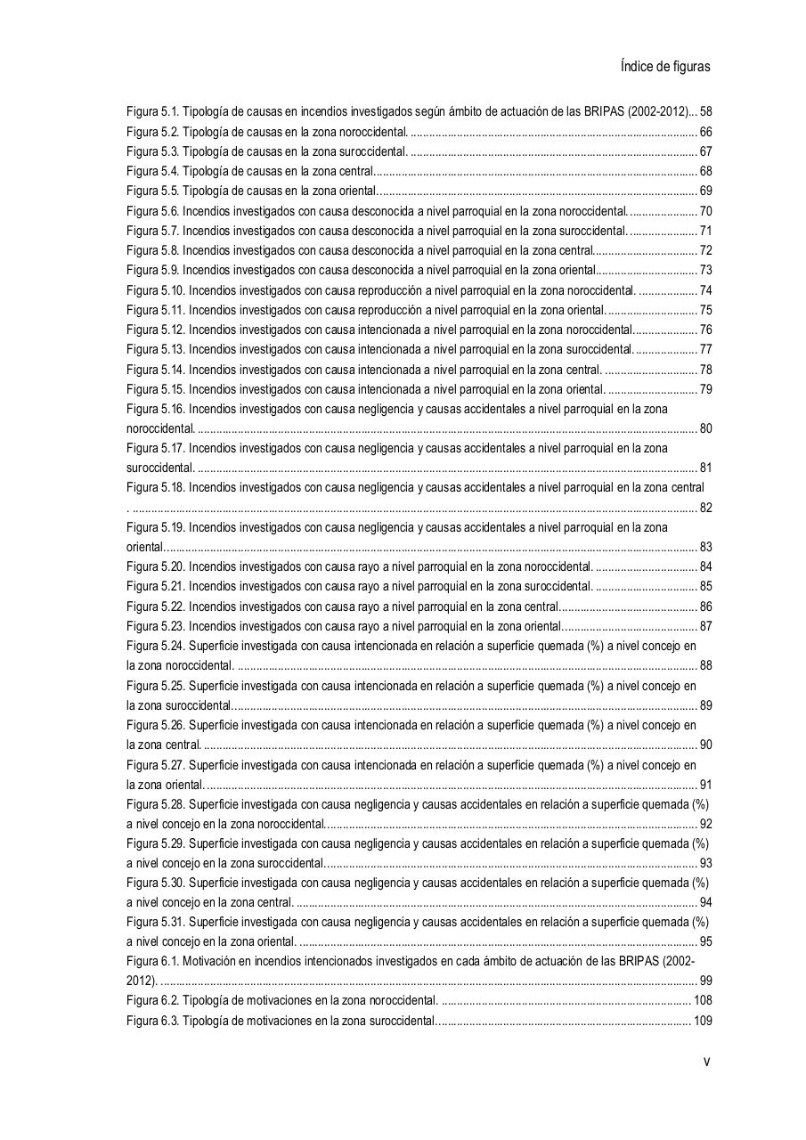 Vista previa del archivo PDF la-investigaci-n-de-causas-de-incendios-forestales-en-el-principado-de-asturias-en-el-per-odo-2002-2012.pdf