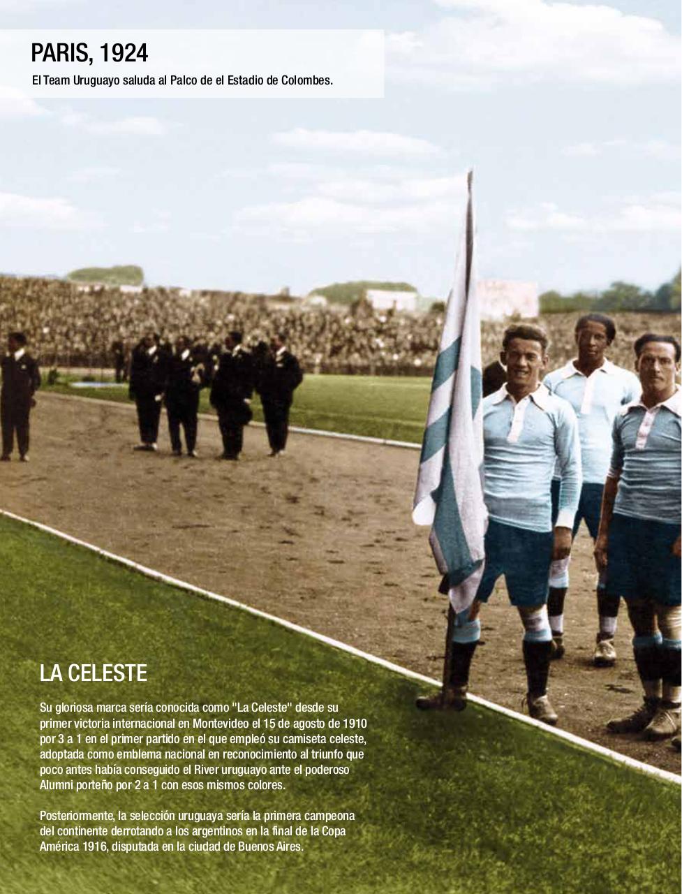 Vista previa del archivo PDF libro-oro-celeste-en-baja.pdf