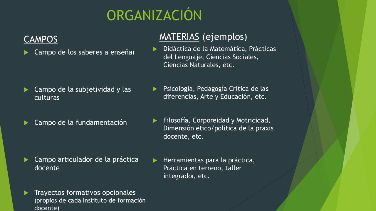 Vista previa del archivo PDF formaci-n-docente-en-argentina.pdf