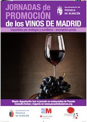 Documento PDF 38473 42422015105343