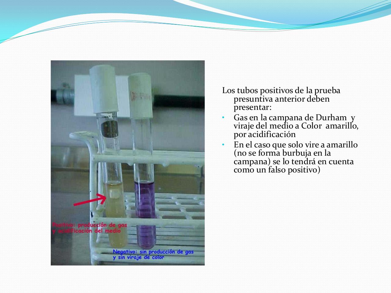 Vista previa del archivo PDF an-lisis-microbiol-gico-de-aguas.pdf