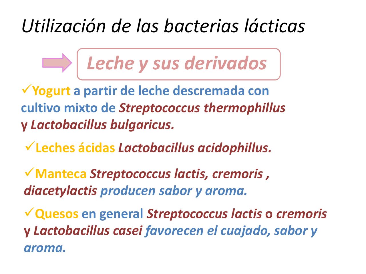 Vista previa del archivo PDF bacterias-lacticas-mariana.pdf