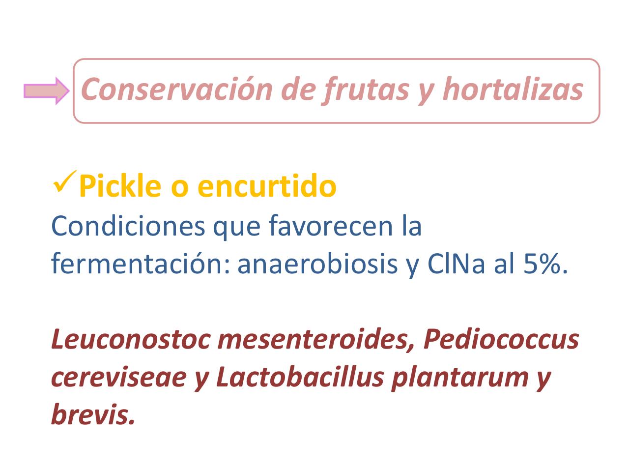 Vista previa del archivo PDF bacterias-lacticas-mariana.pdf