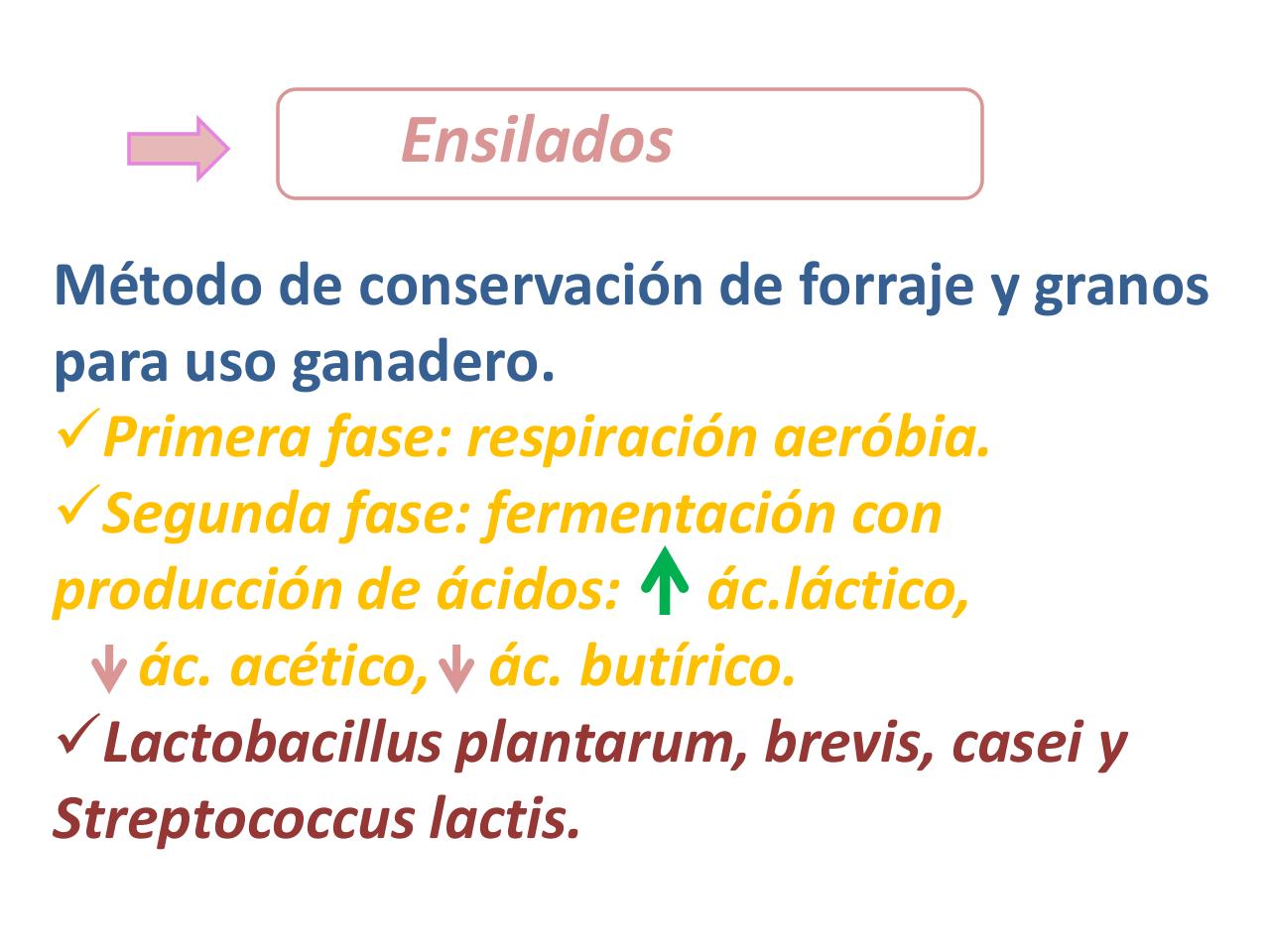Vista previa del archivo PDF bacterias-lacticas-mariana.pdf