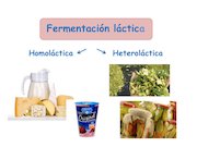 bacterias lacticas-Mariana.pdf - página 3/7