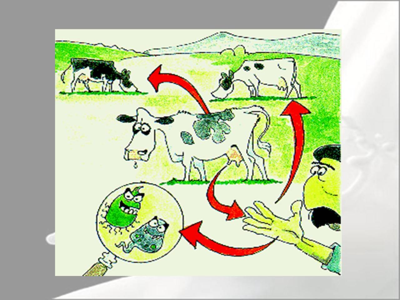 Vista previa del archivo PDF microbiologia-de-la-leche-pdf.pdf