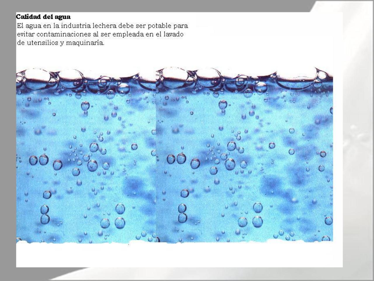 Vista previa del archivo PDF microbiologia-de-la-leche-pdf.pdf