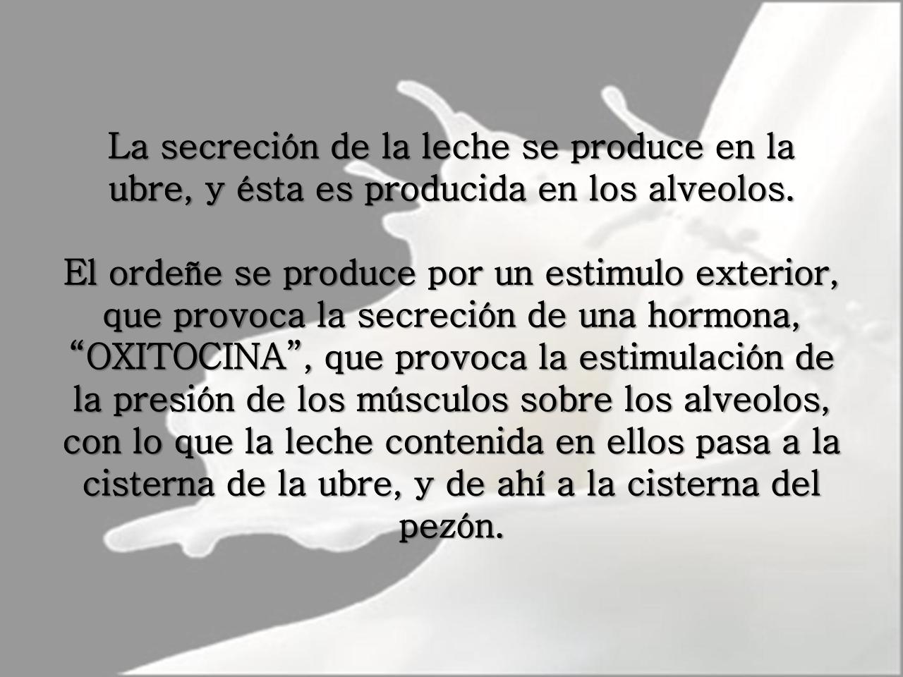Vista previa del archivo PDF microbiologia-de-la-leche-pdf.pdf