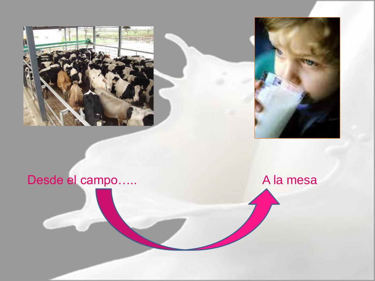 Vista previa del archivo PDF microbiologia-de-la-leche-pdf.pdf