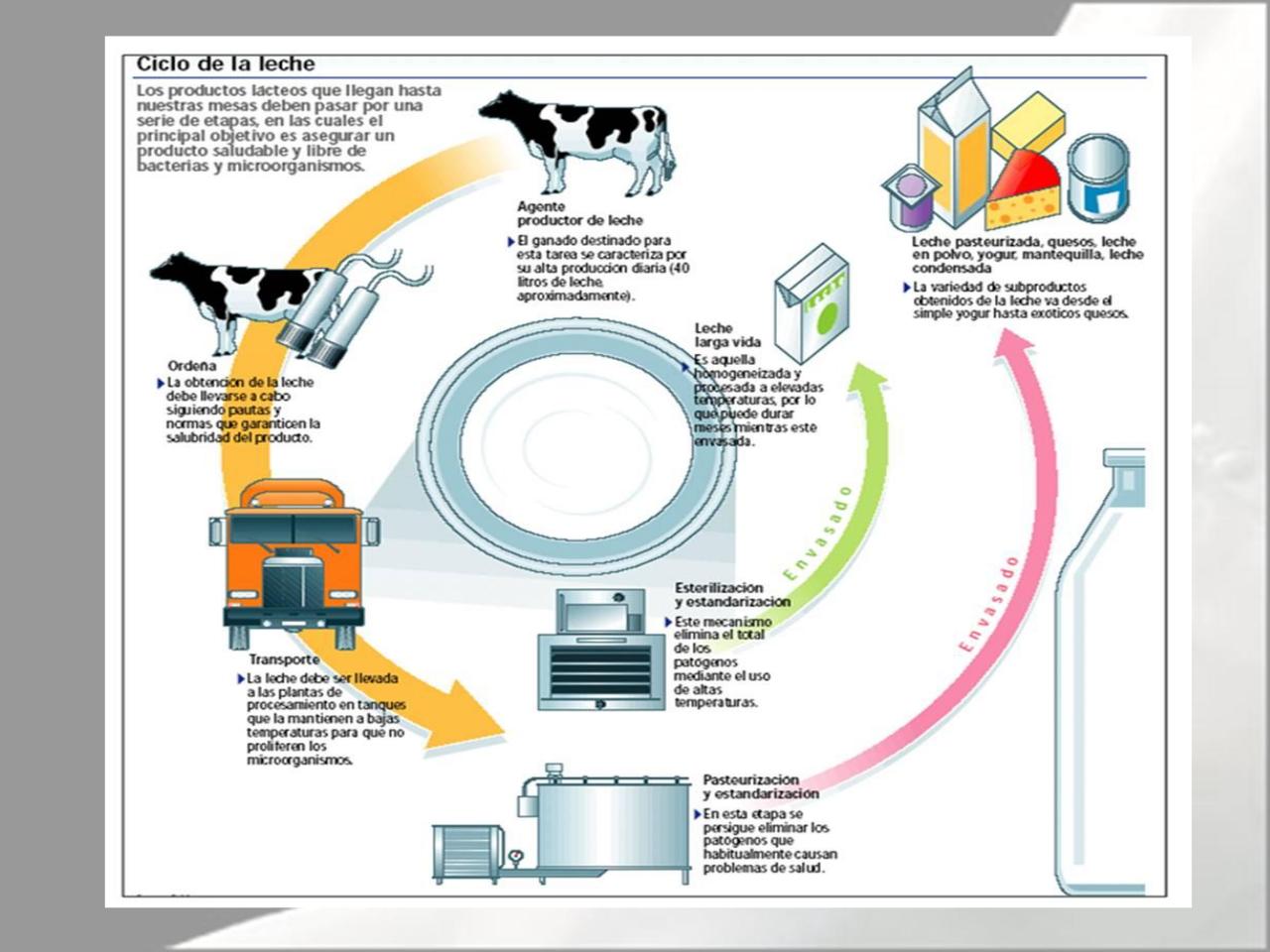 Vista previa del archivo PDF microbiologia-de-la-leche-pdf.pdf