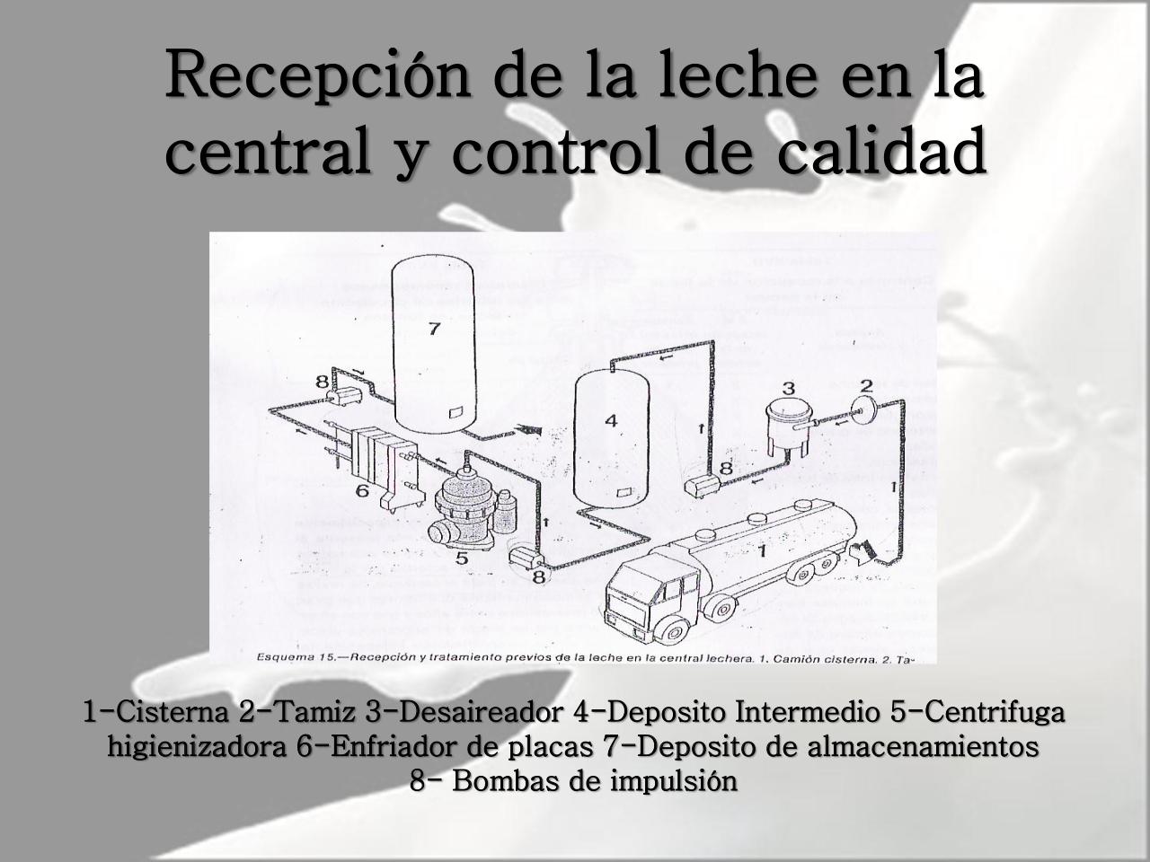 Vista previa del archivo PDF microbiologia-de-la-leche-pdf.pdf
