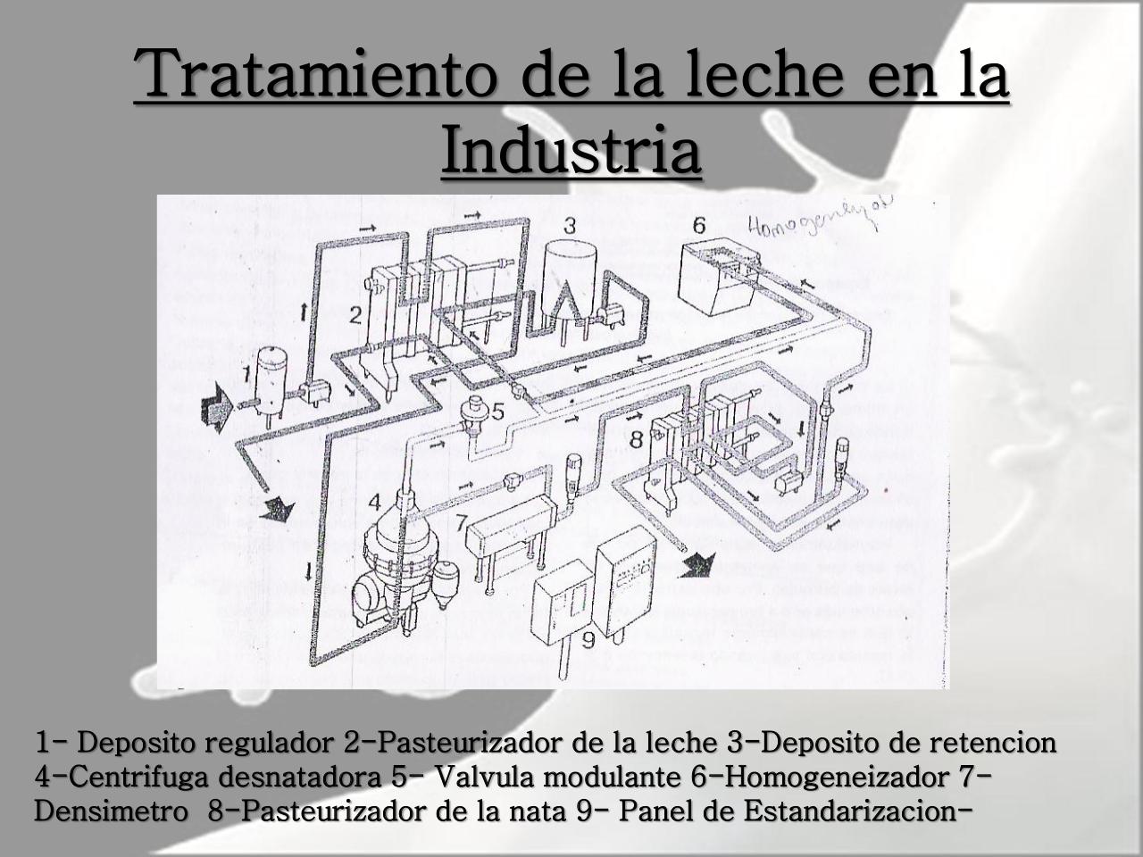 Vista previa del archivo PDF microbiologia-de-la-leche-pdf.pdf