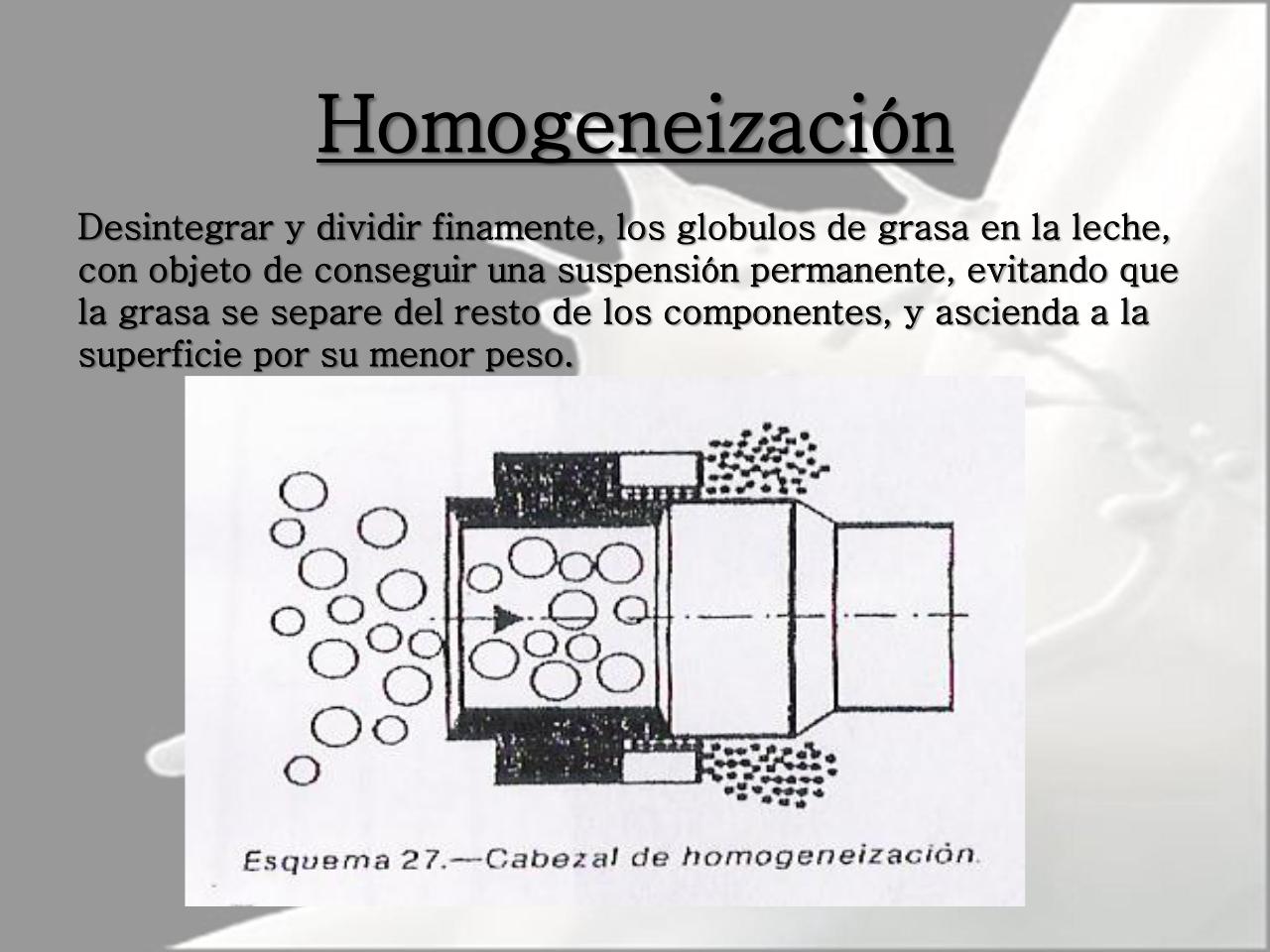 Vista previa del archivo PDF microbiologia-de-la-leche-pdf.pdf