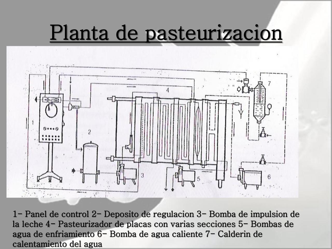 Vista previa del archivo PDF microbiologia-de-la-leche-pdf.pdf