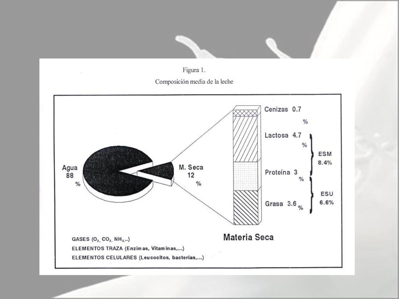 Vista previa del archivo PDF microbiologia-de-la-leche-pdf.pdf