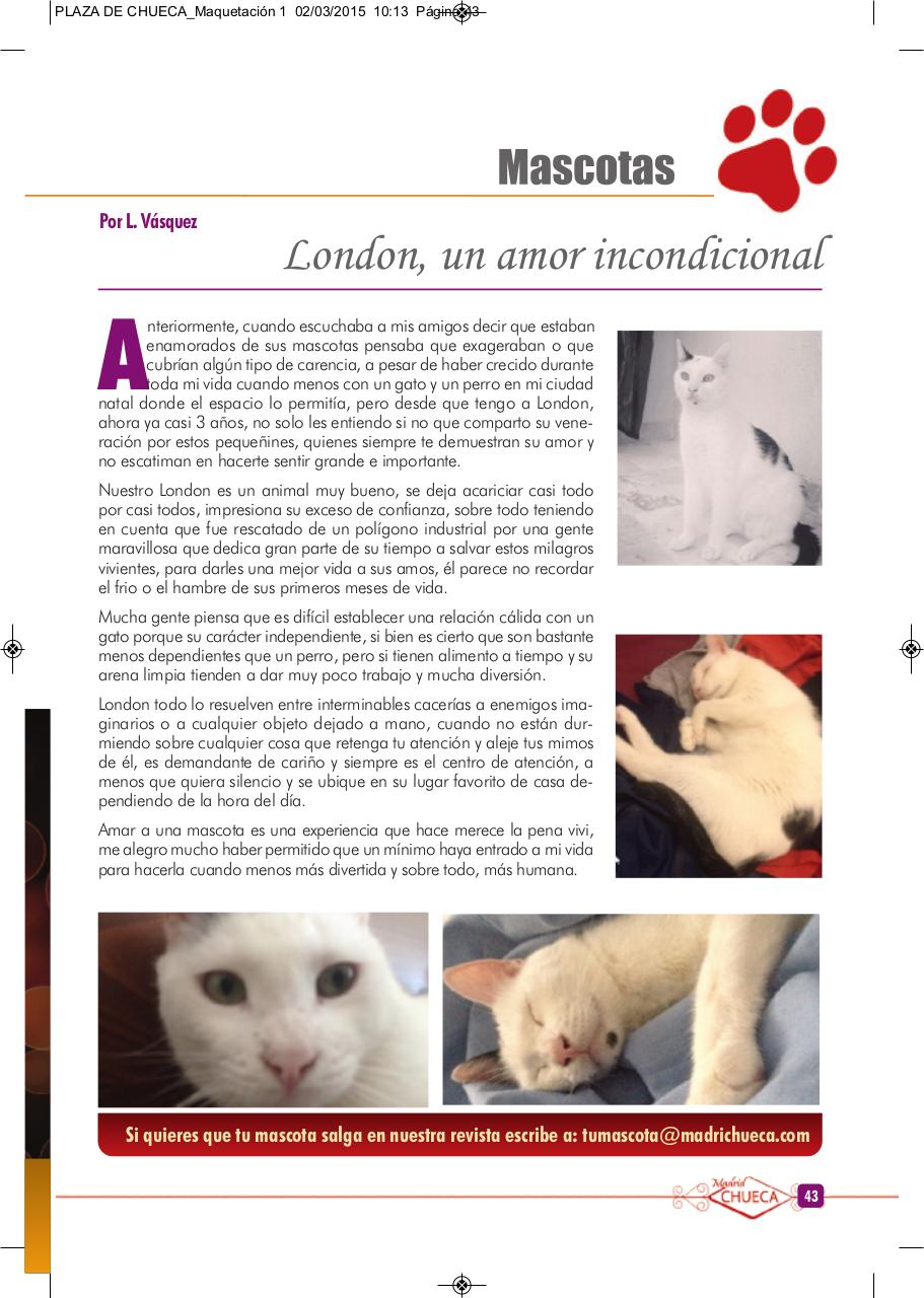 Vista previa del archivo PDF plaza-de-chueca-1.pdf