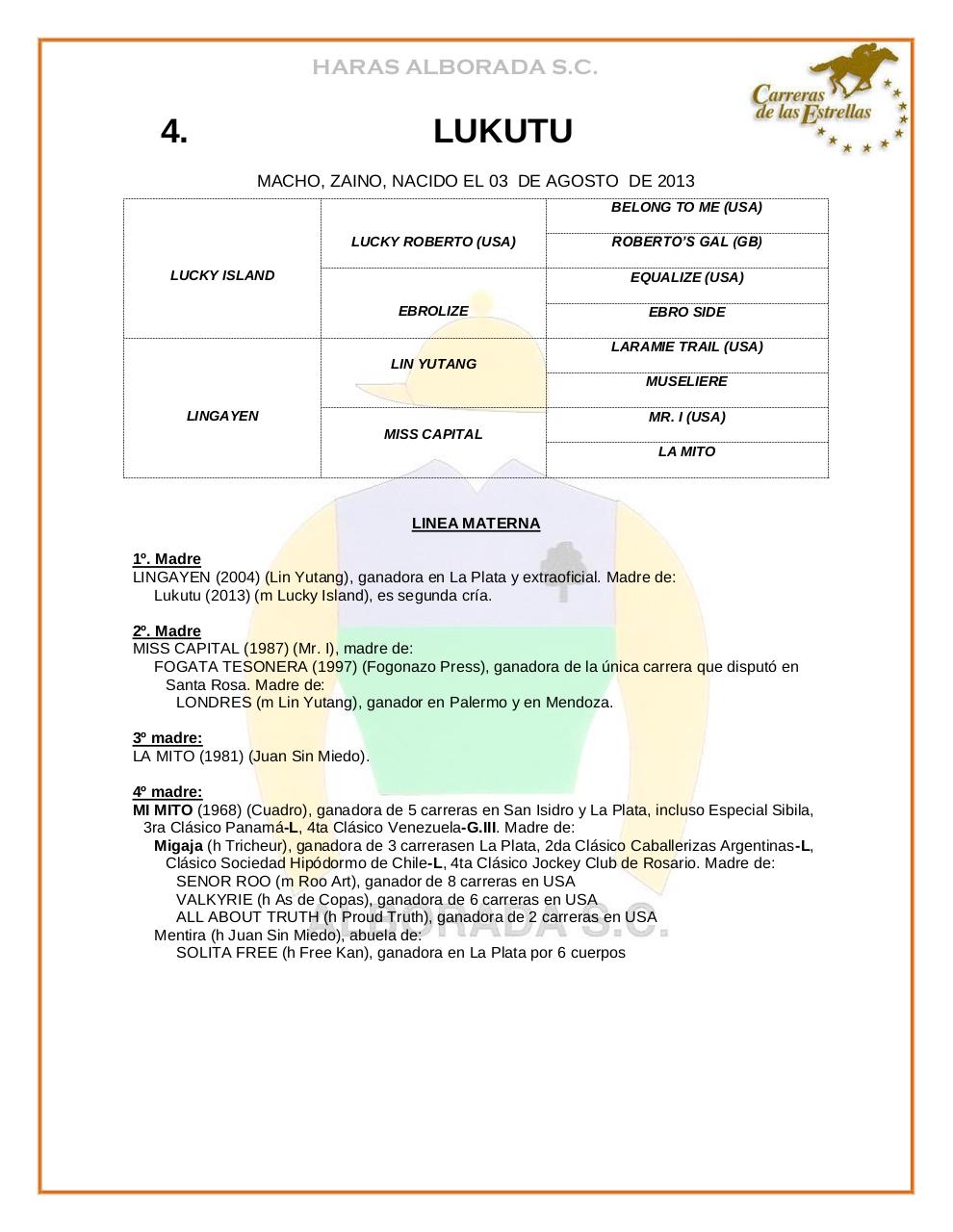 Vista previa del archivo PDF catalogo-2015.pdf