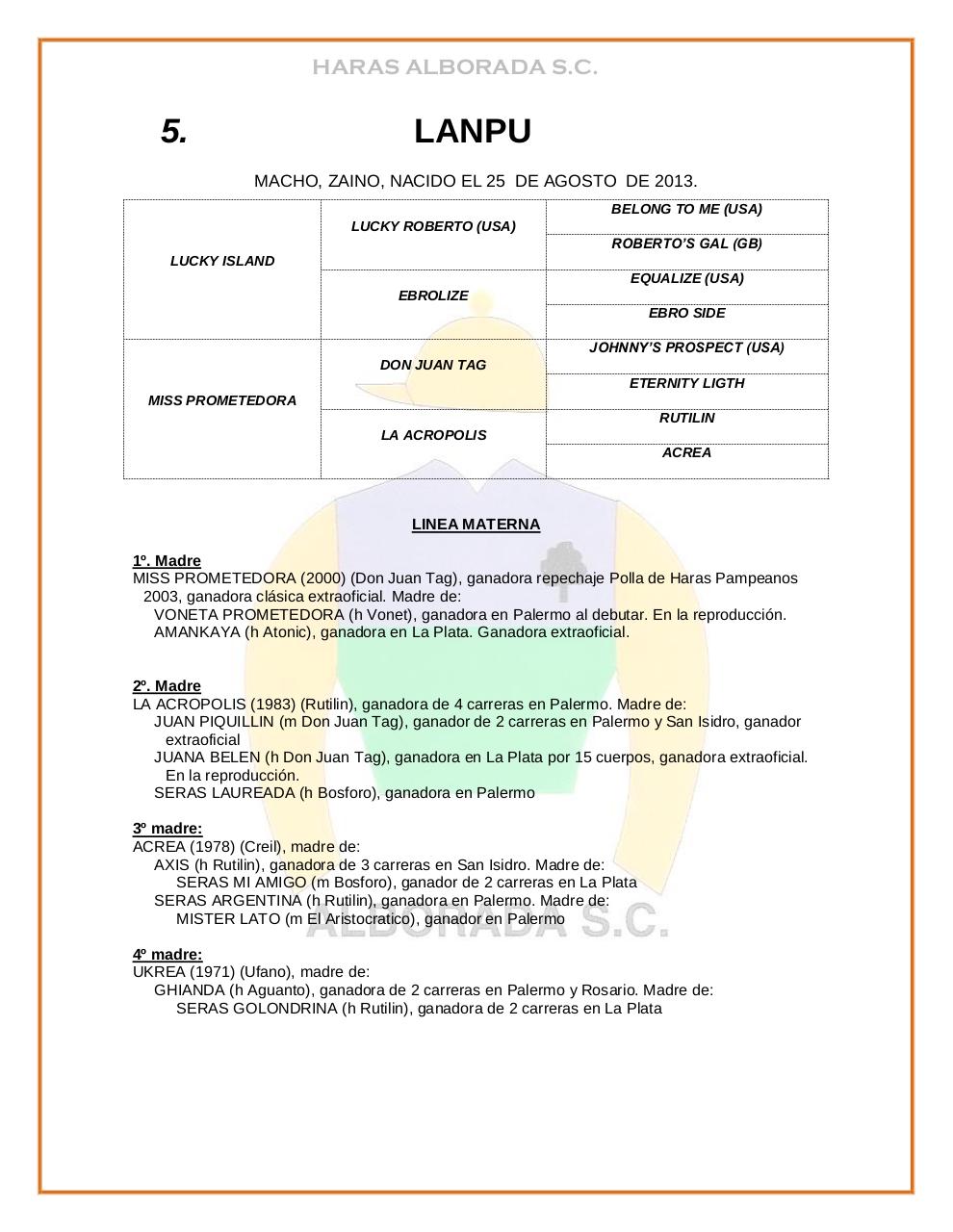 Vista previa del archivo PDF catalogo-2015.pdf