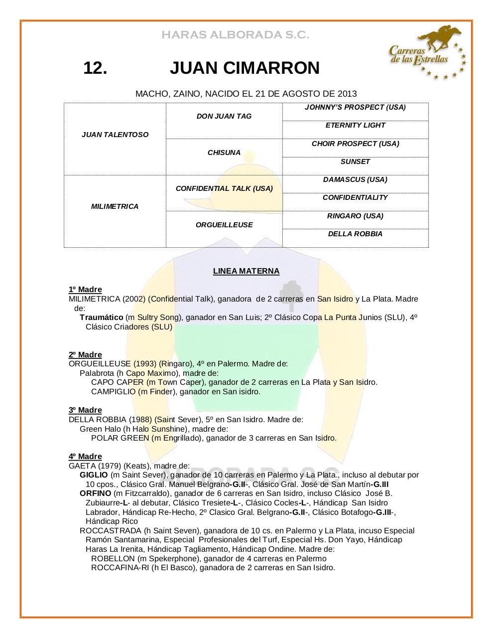 Vista previa del archivo PDF catalogo-2015.pdf