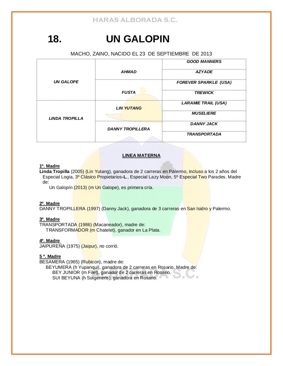 Vista previa del archivo PDF catalogo-2015.pdf