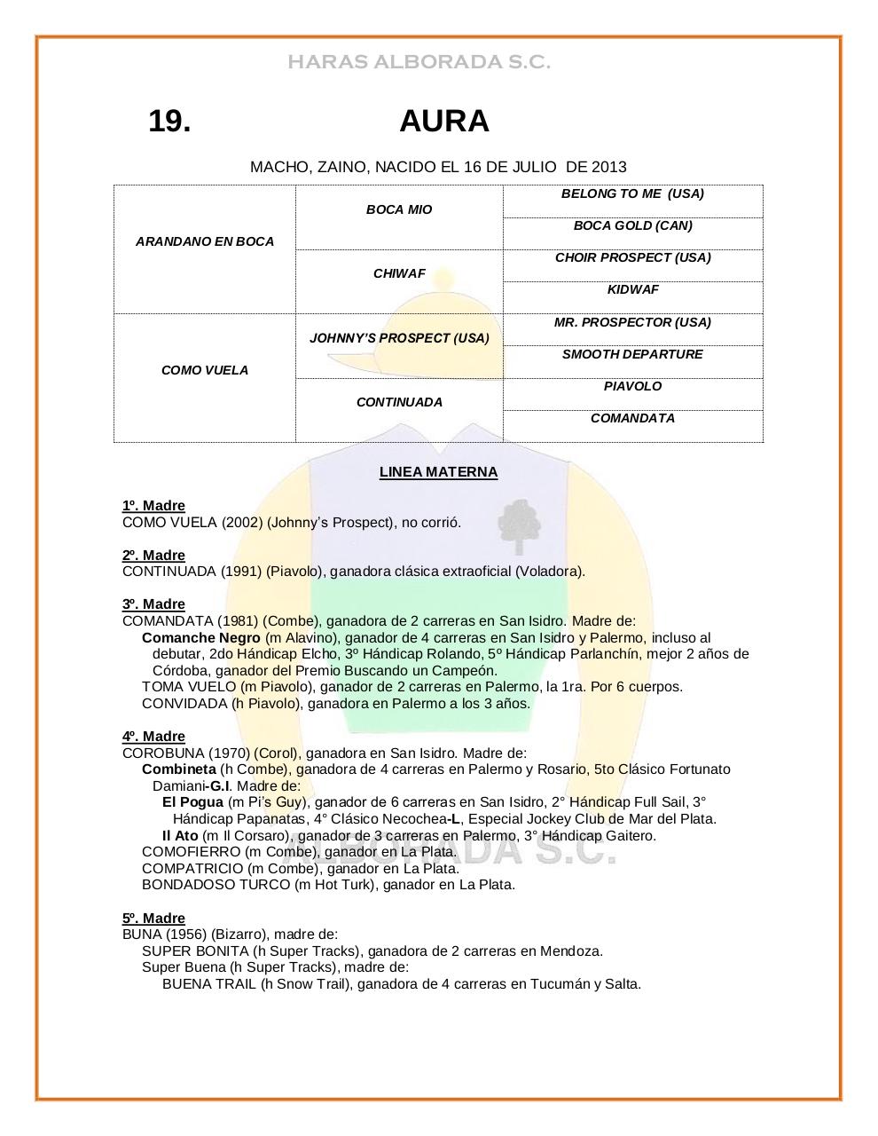 Vista previa del archivo PDF catalogo-2015.pdf
