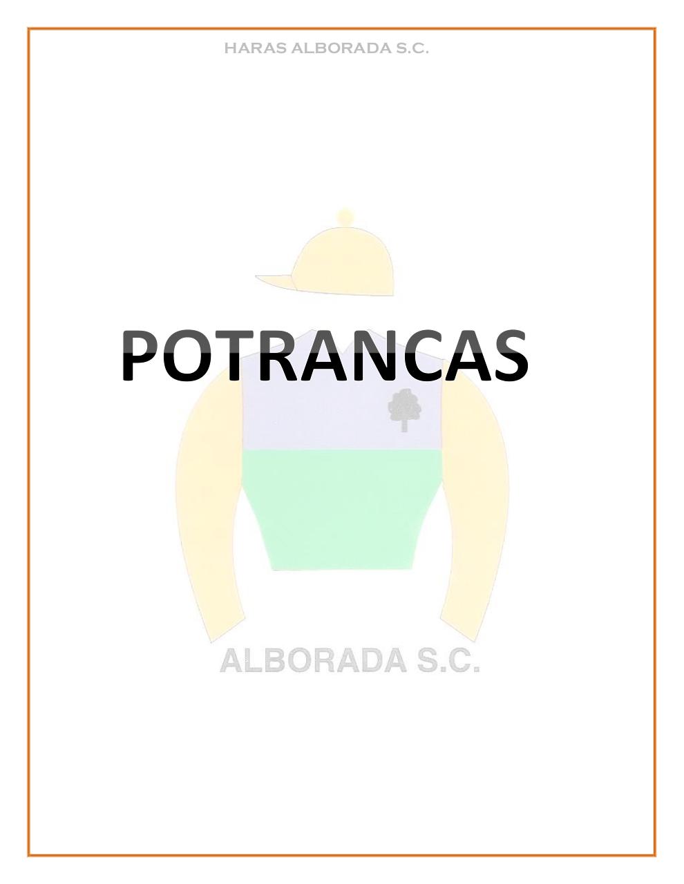 Vista previa del archivo PDF catalogo-2015.pdf