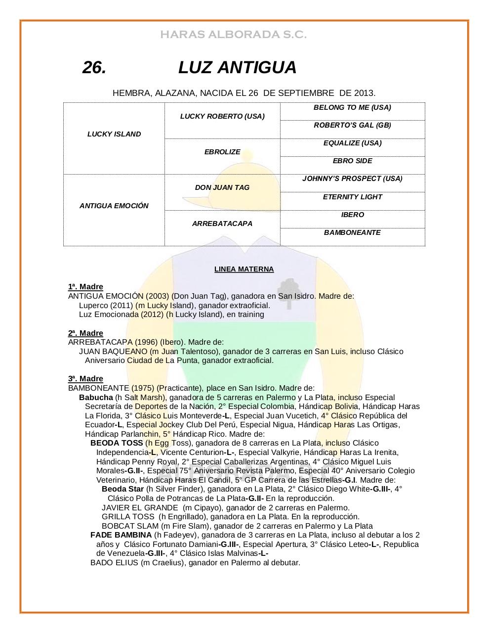 Vista previa del archivo PDF catalogo-2015.pdf
