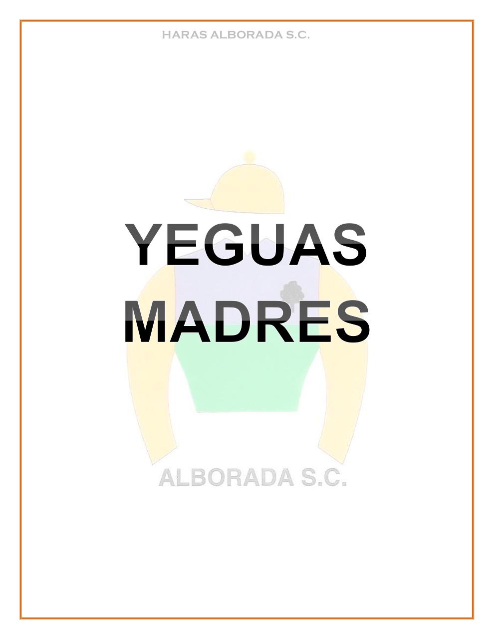 Vista previa del archivo PDF catalogo-2015.pdf