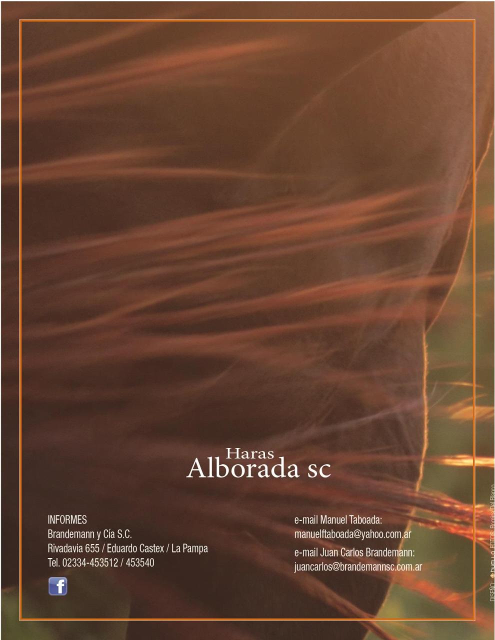 Vista previa del archivo PDF catalogo-2015.pdf