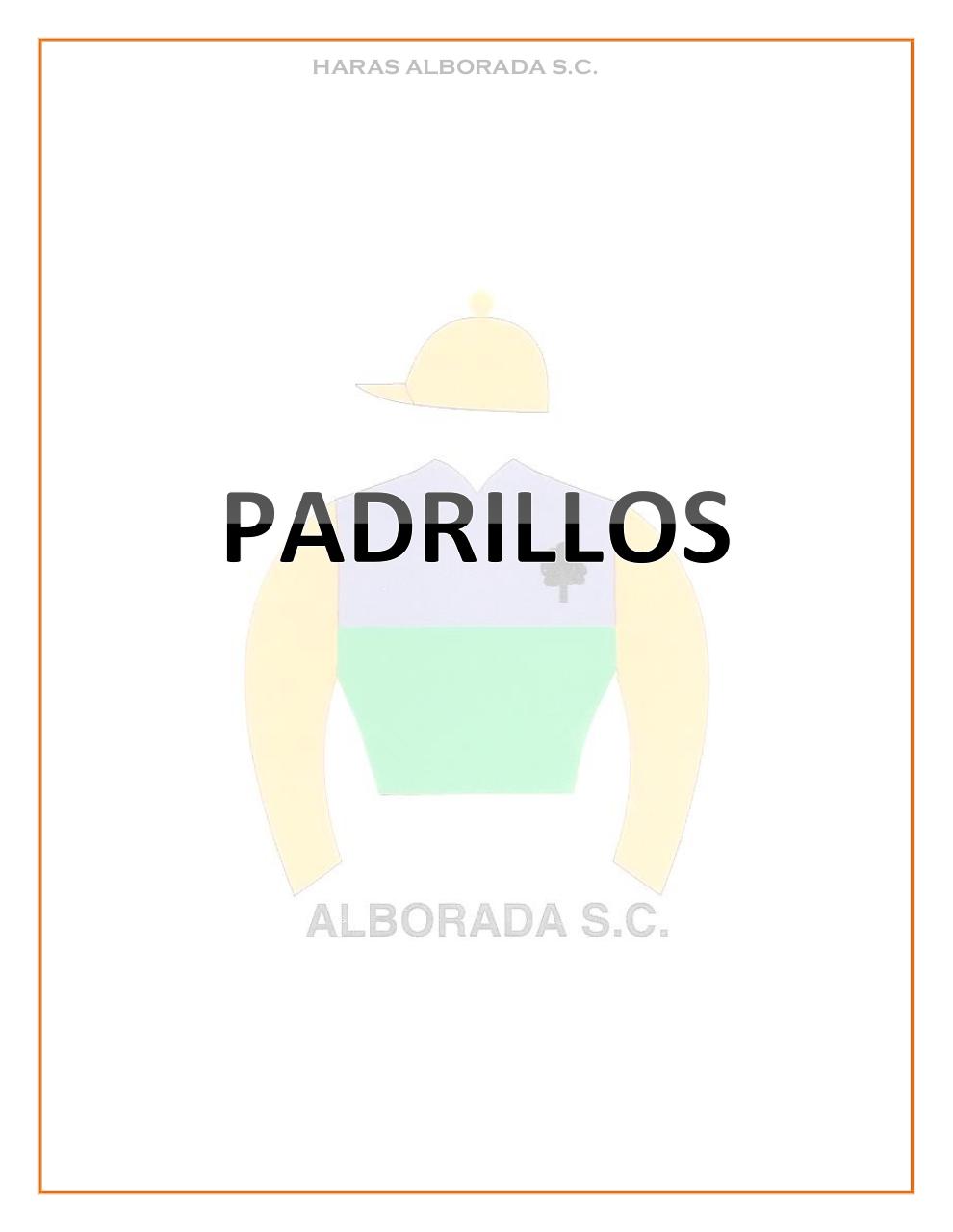 Vista previa del archivo PDF catalogo-2015.pdf