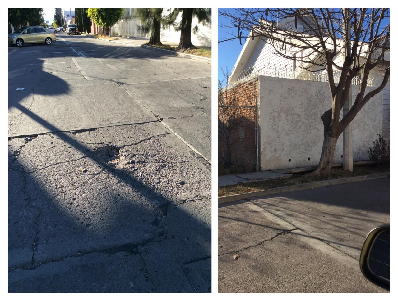 Vista previa del archivo PDF colonos-jardines-presentaci-n-dic-10.pdf