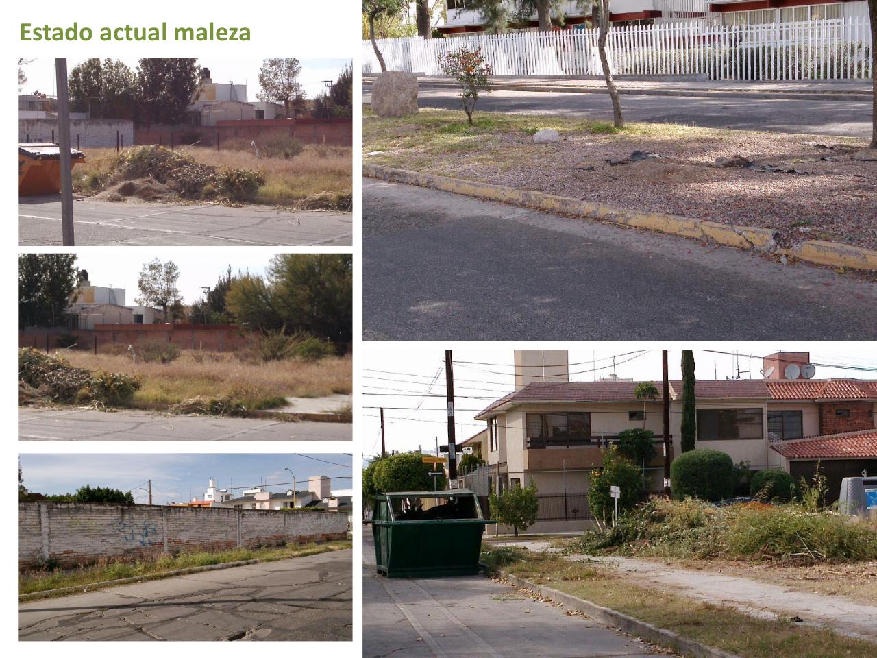 Vista previa del archivo PDF colonos-jardines-presentaci-n-dic-10.pdf