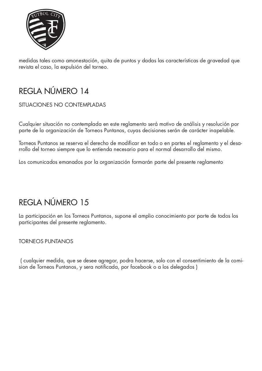 Vista previa del archivo PDF reglamento.pdf