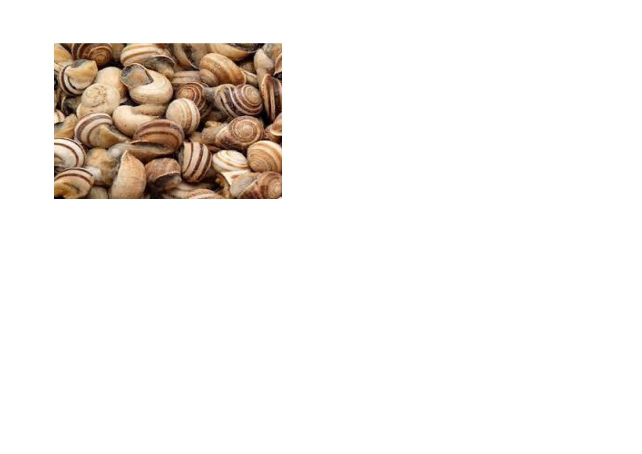 Vista previa del archivo PDF spanish-recipes-carlos-mirasierras.pdf