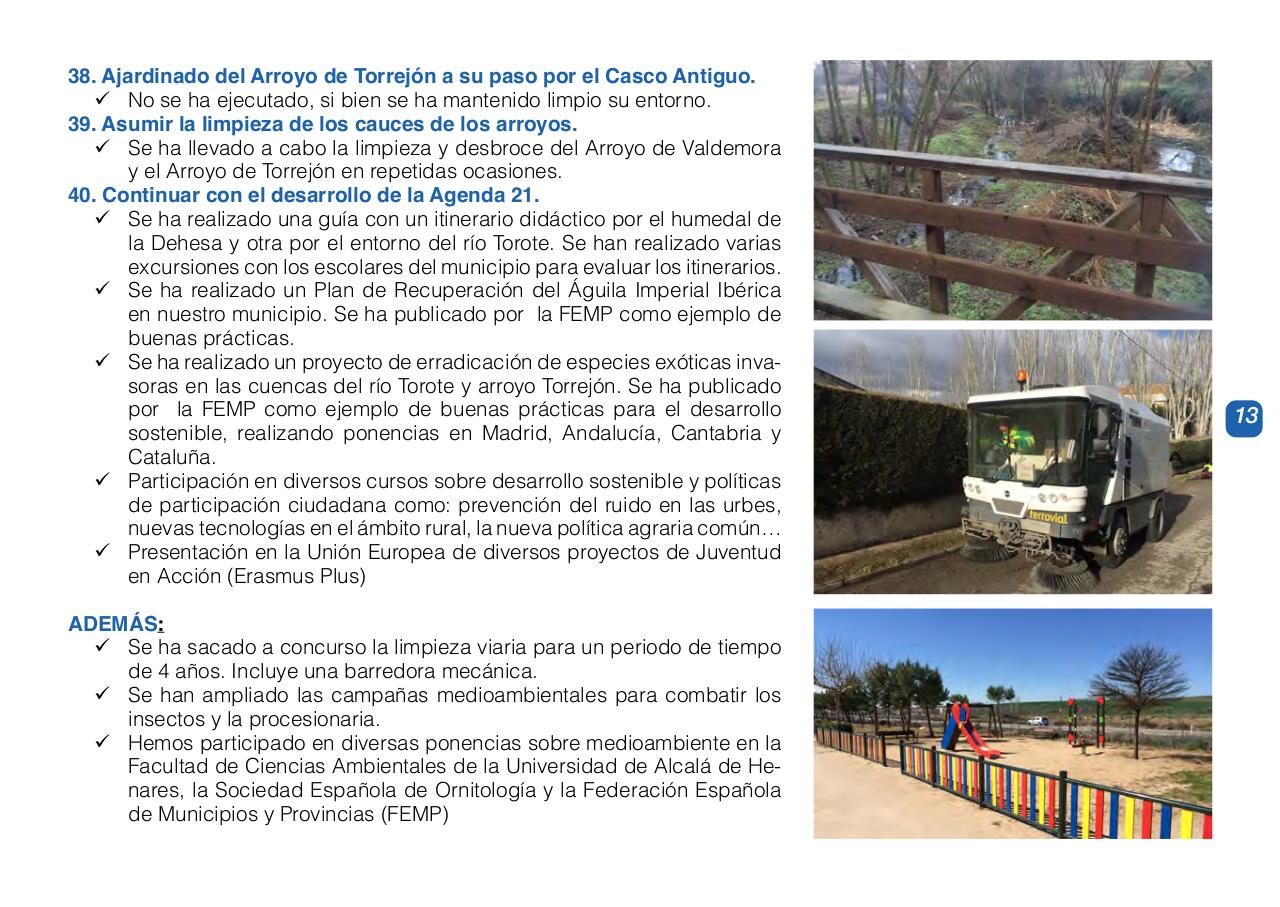 Vista previa del archivo PDF programapptorrejon.pdf