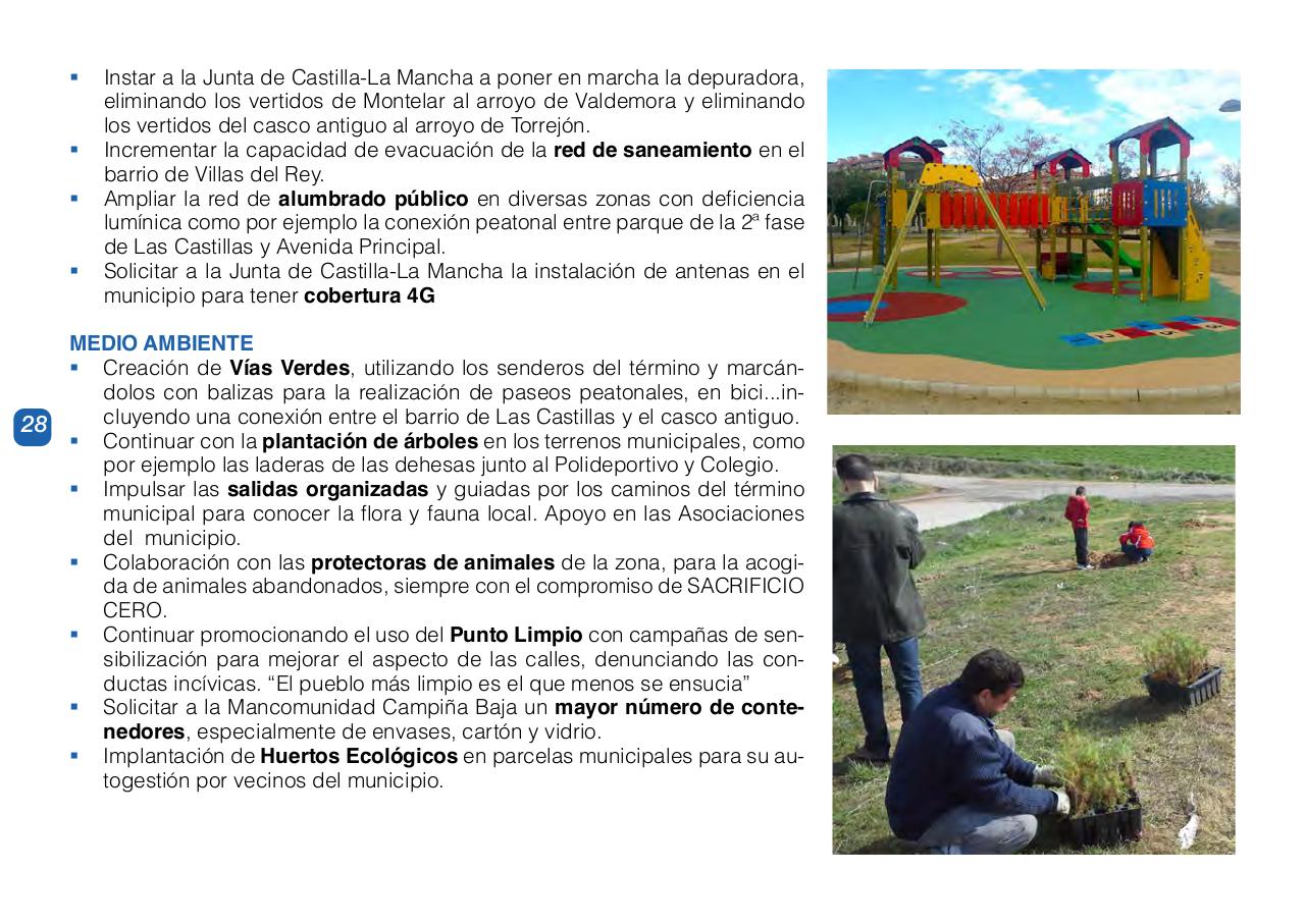 Vista previa del archivo PDF programapptorrejon.pdf