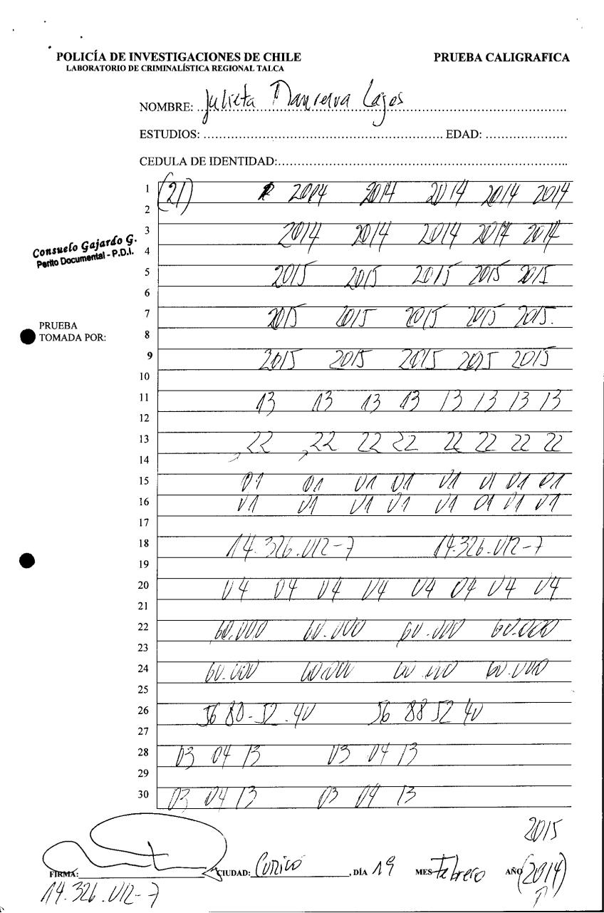 Vista previa del archivo PDF pdi.pdf