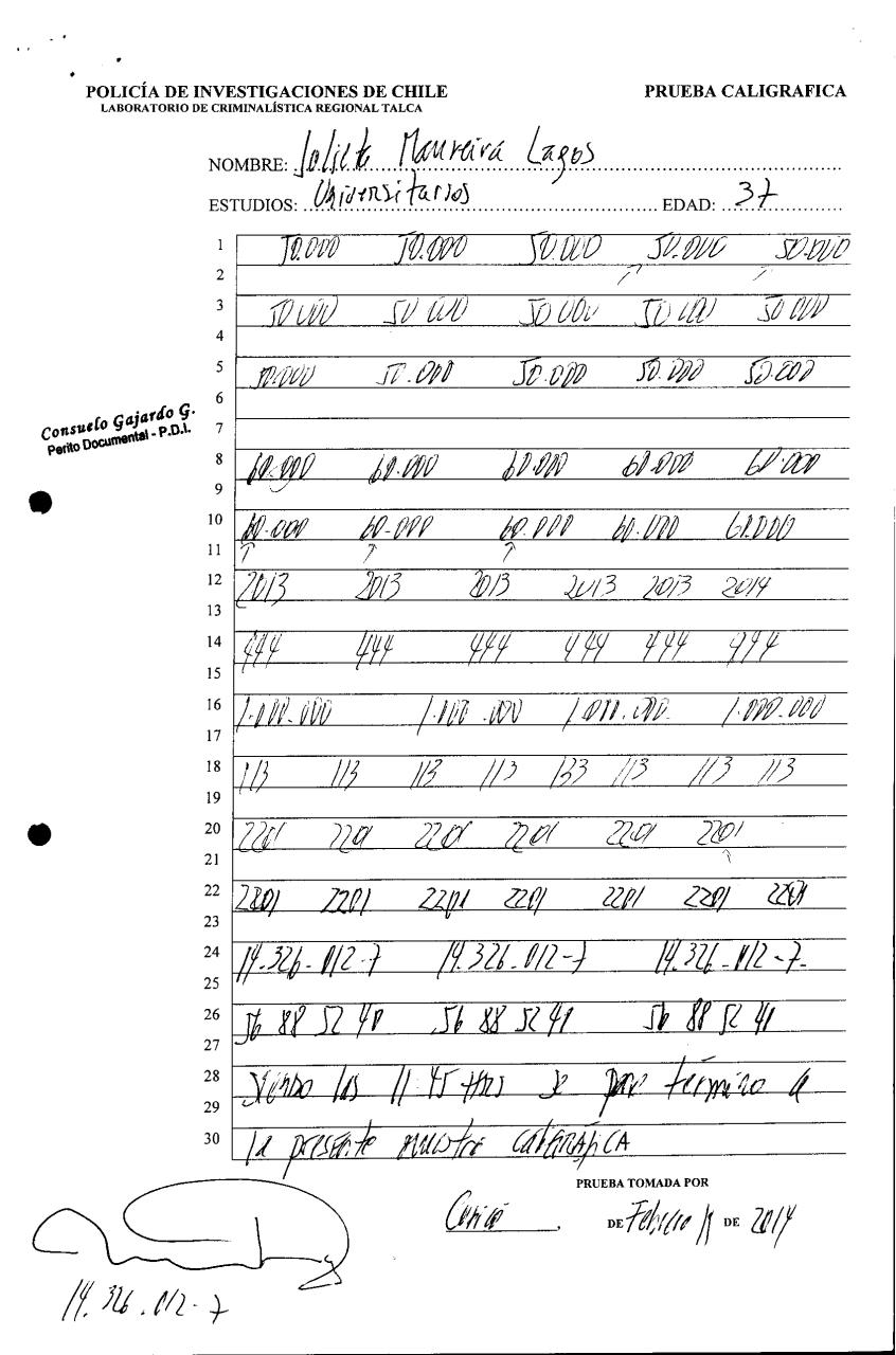 Vista previa del archivo PDF pdi.pdf