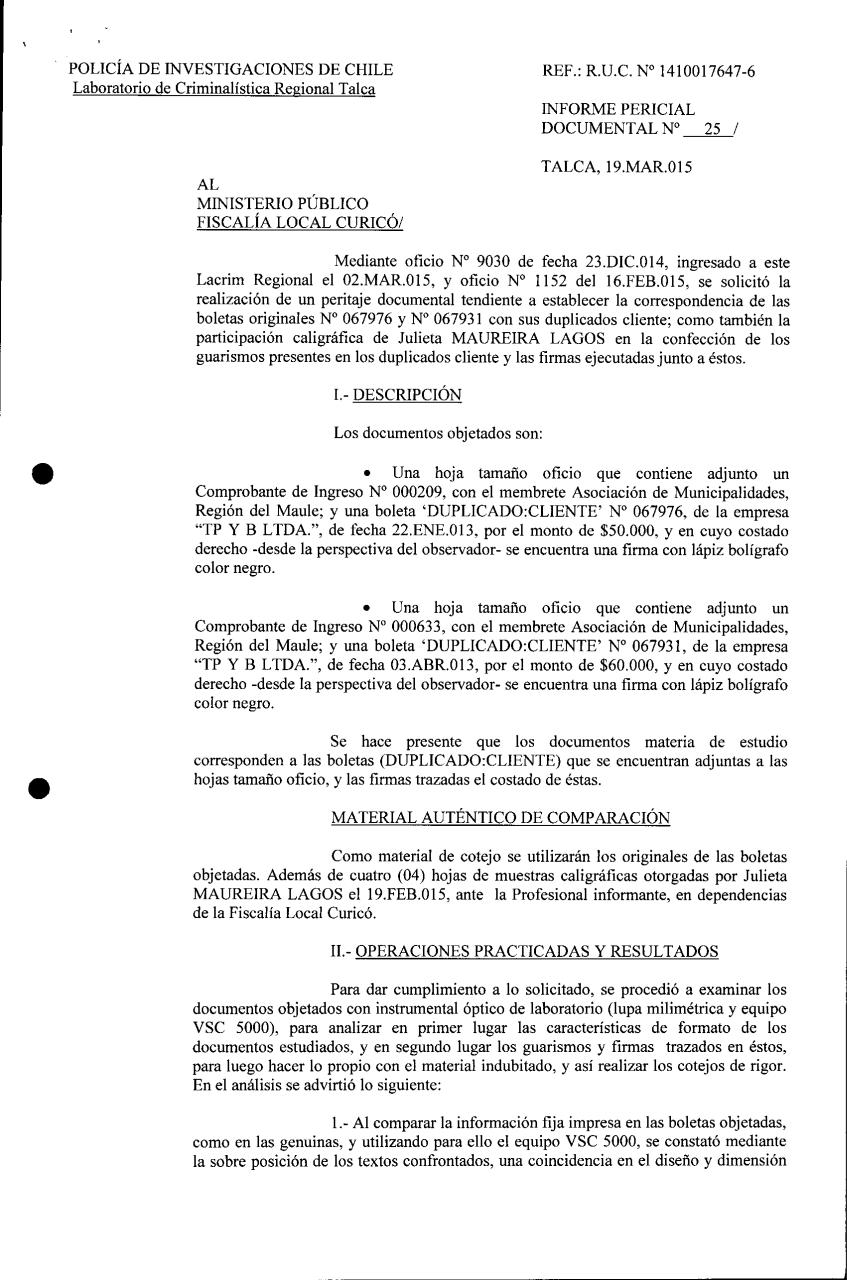 Vista previa del archivo PDF pdi.pdf