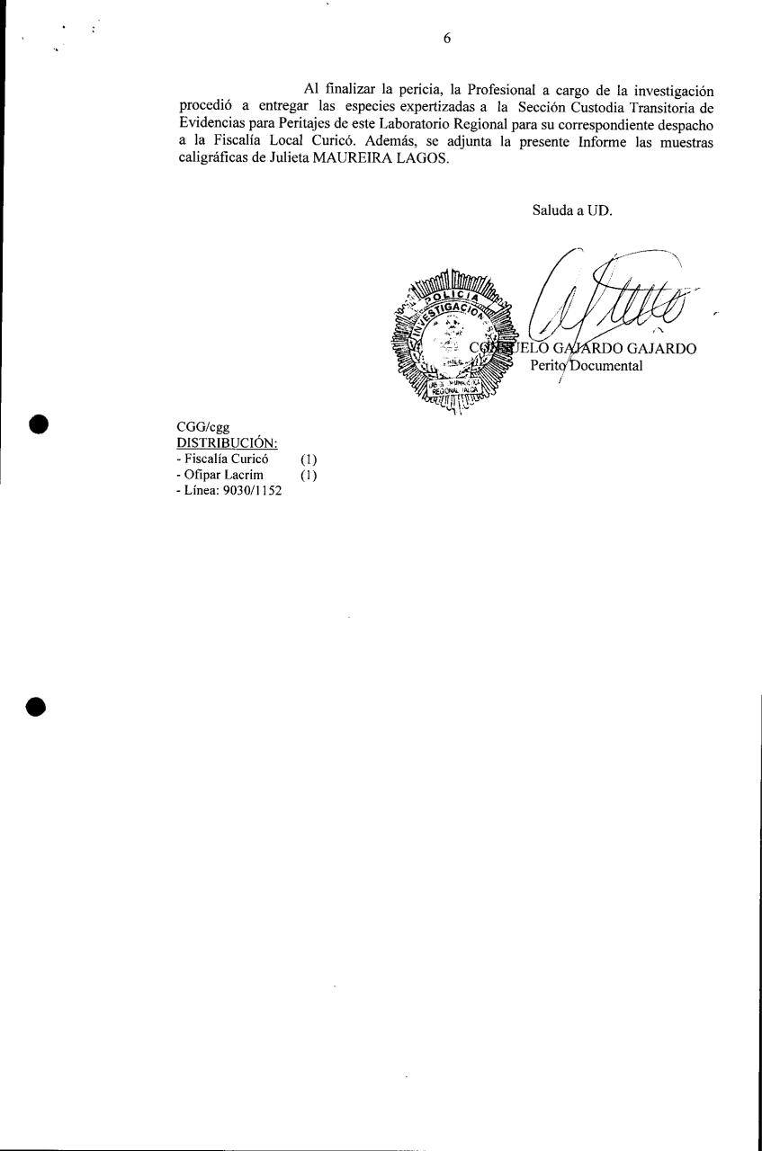 Vista previa del archivo PDF pdi.pdf