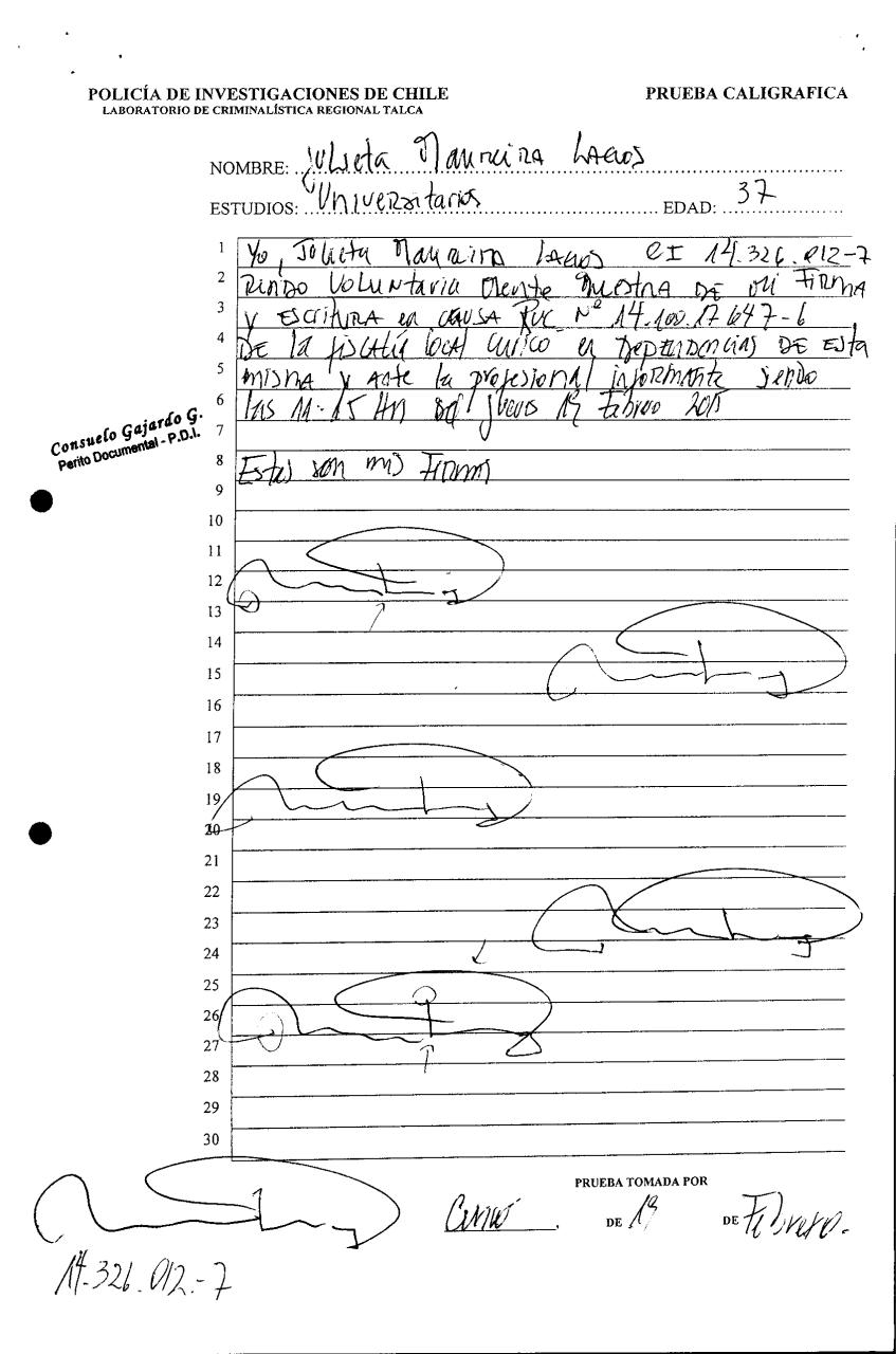 Vista previa del archivo PDF pdi.pdf