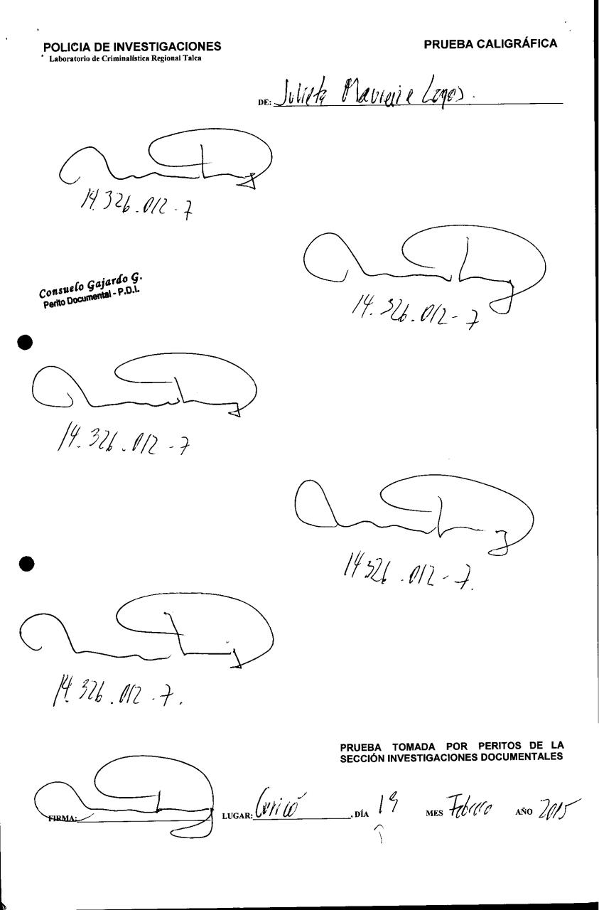 Vista previa del archivo PDF pdi.pdf