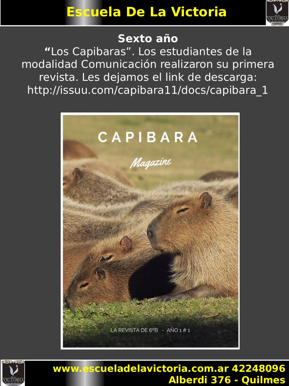 Vista previa del archivo PDF 14-boletin-julio.pdf